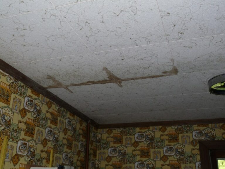 Asbestos Floor - Instagram